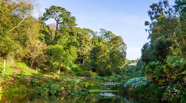 Trebah Garden Picture 1