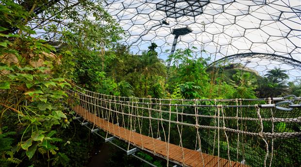 Eden Project Picture 2
