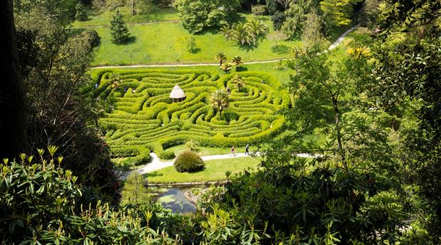 Glendurgan Garden Picture 1