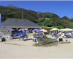 Life's A Beach Cafe Picture