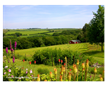 Cutkive Wood Holiday Lodges Picture