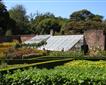 The Lost Gardens of Heligan Picture