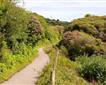 The Coast & Clay Trail Picture