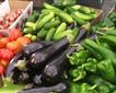 Coads Green Farmers Market Picture